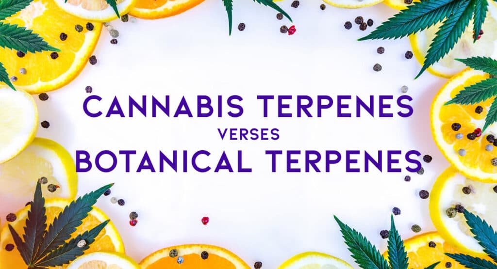 Authentic Cannabis Terpenes vs. Botanical Terpenes