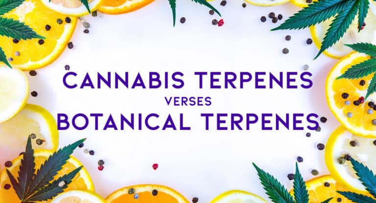 what is botanical terpenes        <h3 class=