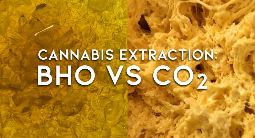 Cannabis Extraction Methods: BHO vs. CO2