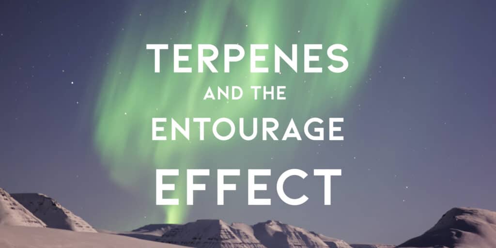 How Terpenes Can Boost Your High - Experience The Entourage Effect With Live Resin