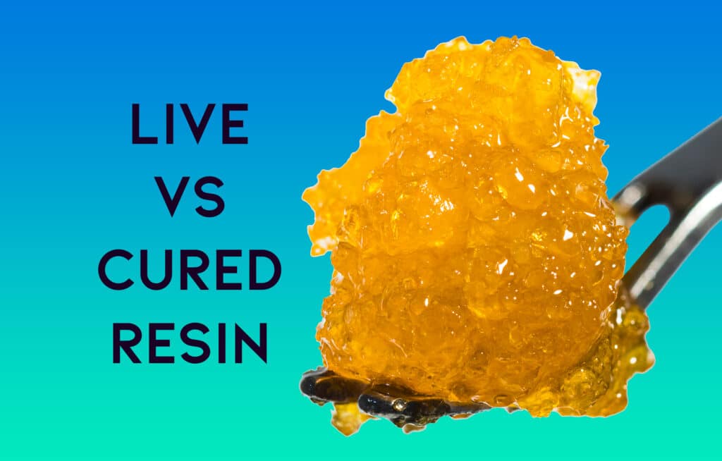 Live Vs. Cured Resin
