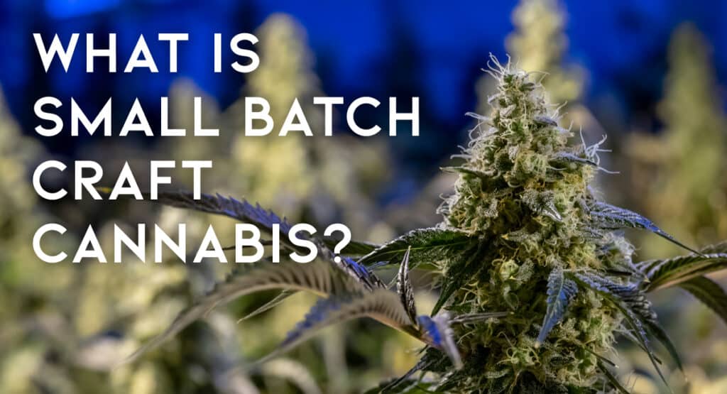 What is Small Batch Craft Cannabis?