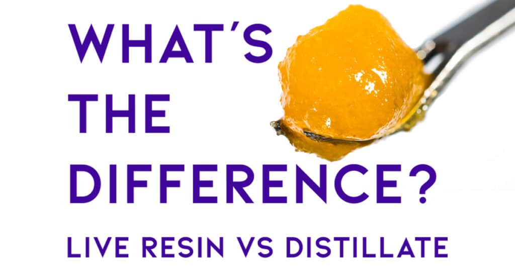What's the Difference Between THC Live Resin & Distillate?