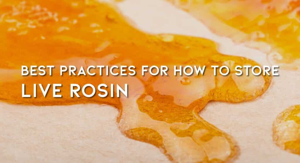 Best Practices for How to Store Live Rosin