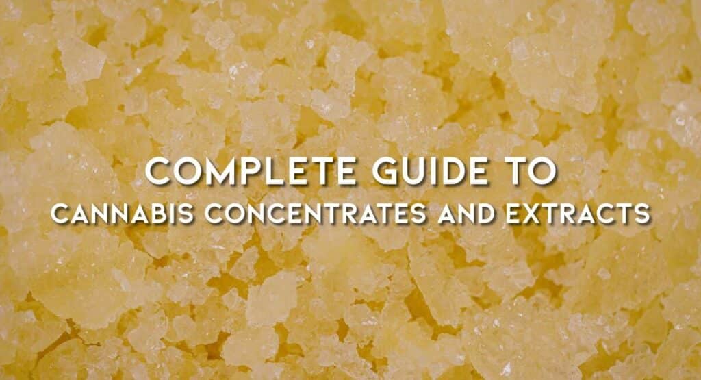 Complete-Guide-to-Cannabis-Concentrates-and-Extracts