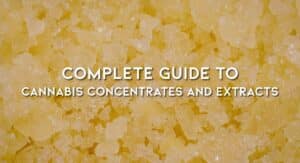 concentrates