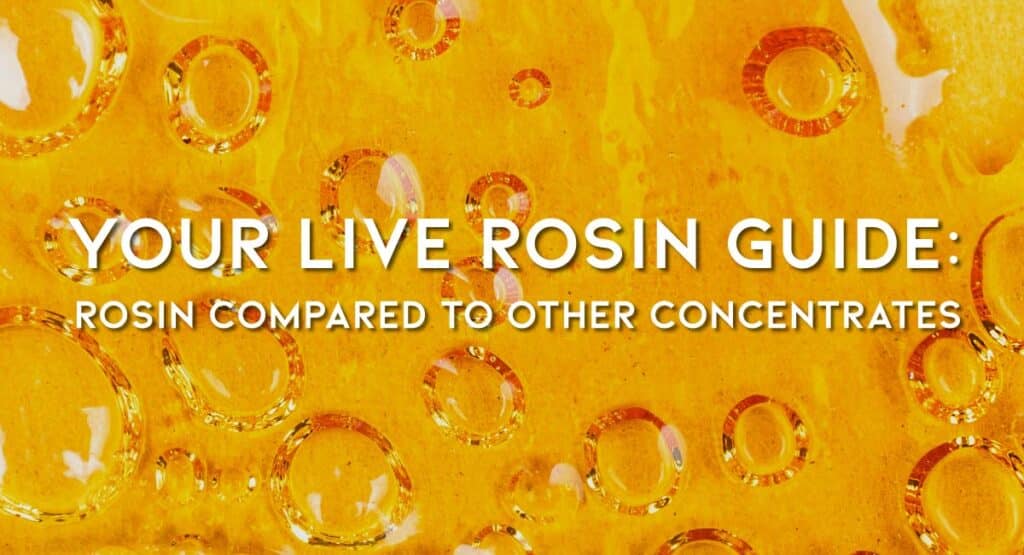 Your Live Rosin Guide: Rosin Compared to Other Concentrates
